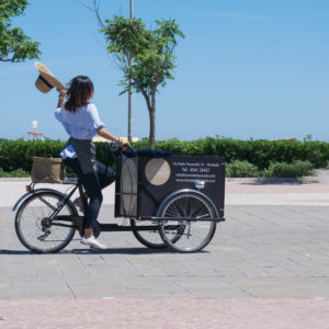 trikego-cargobike-bicicletta da carico-trasporto merci-trasporto bambini-box personalizzabile