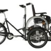 Flex cargo bike-trasporto sedia a rotelle-carrozzina-02