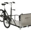 Flex cargo bike-trasporto sedia a rotelle-carrozzina-04